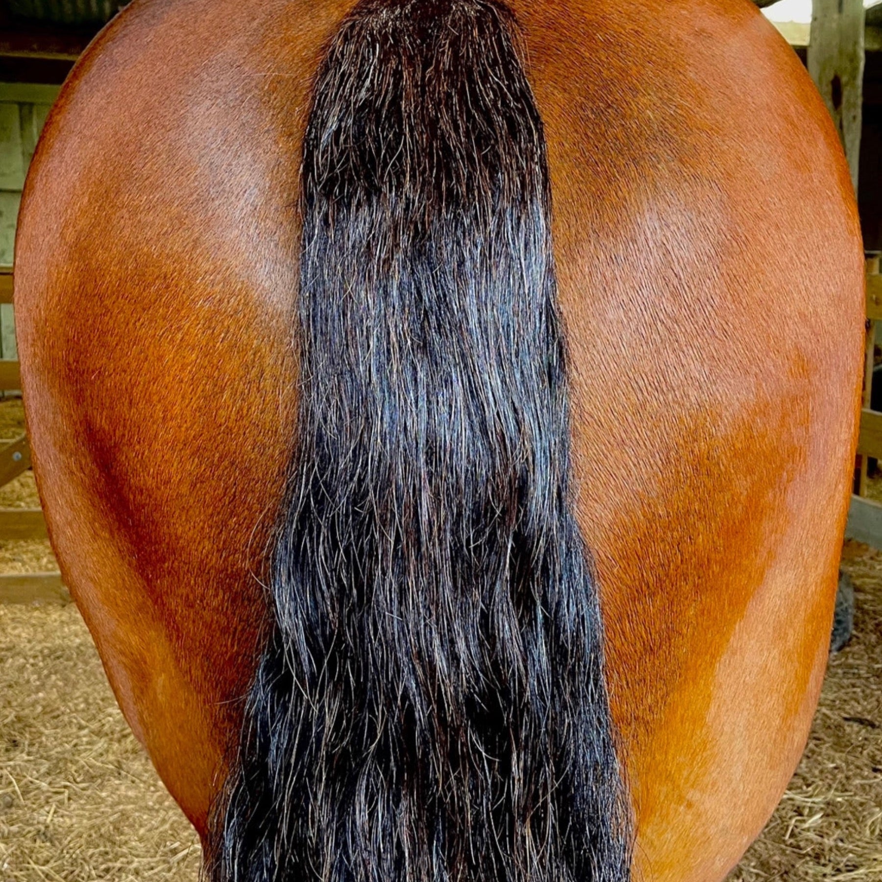 Clearance Conditioner Spray Fragrances