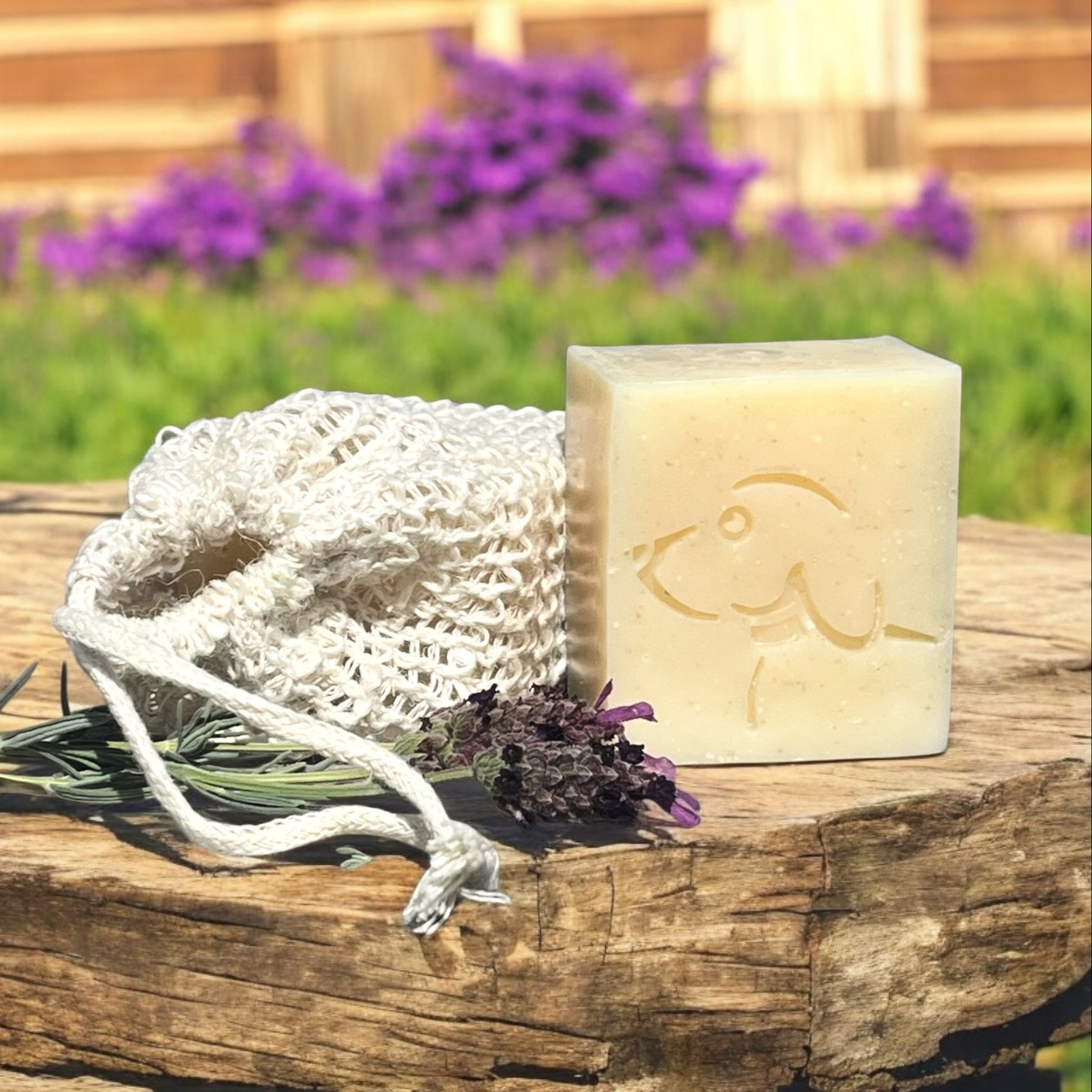 Eco Dog Pure Paws Soap Block