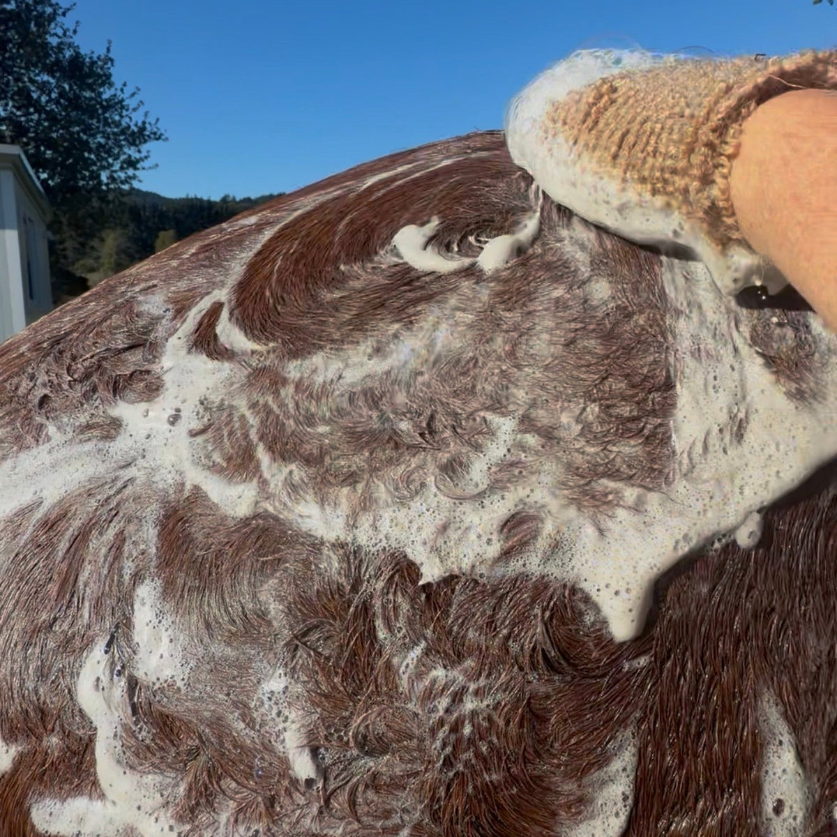 Apple Pie Shampoo