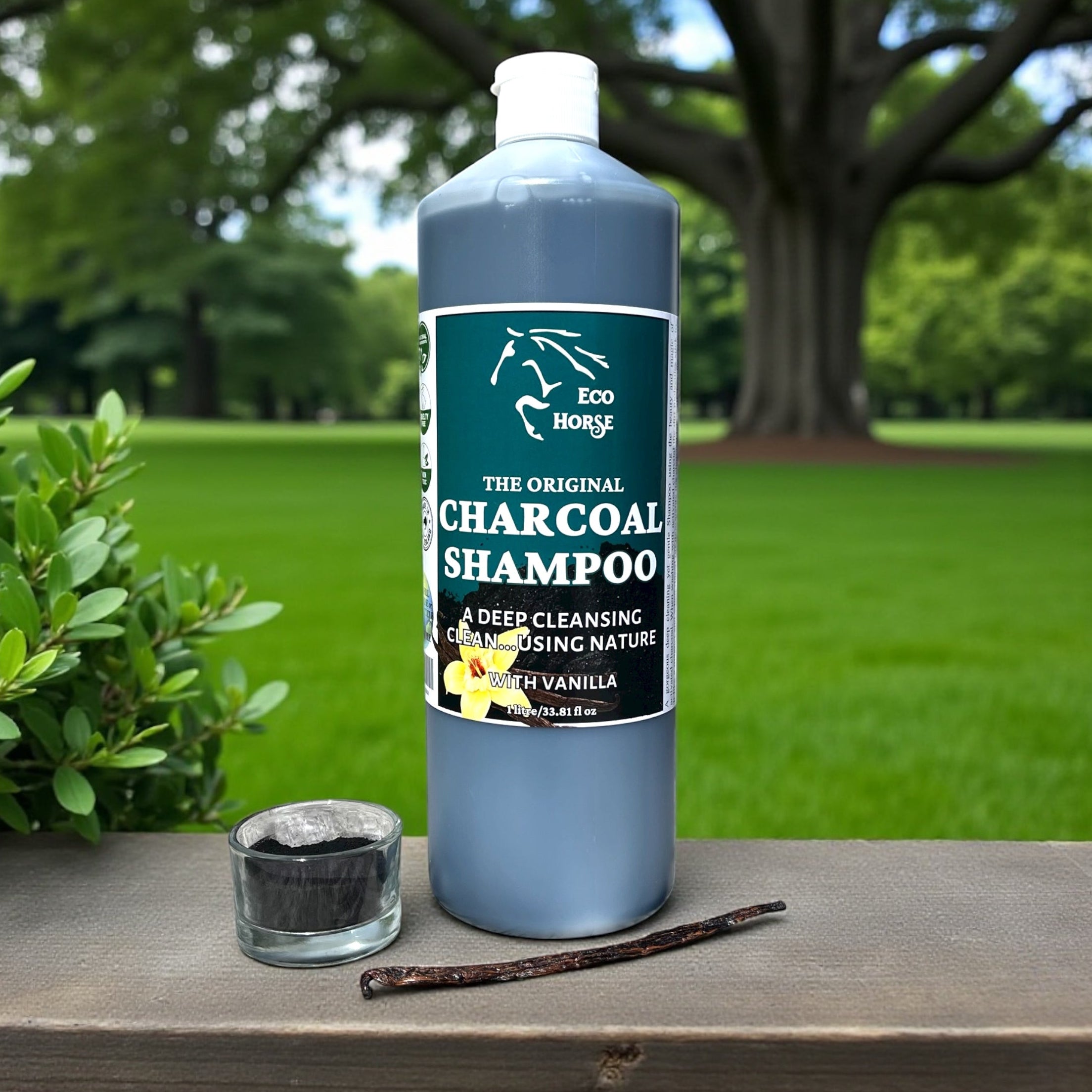 Charcoal Shampoo