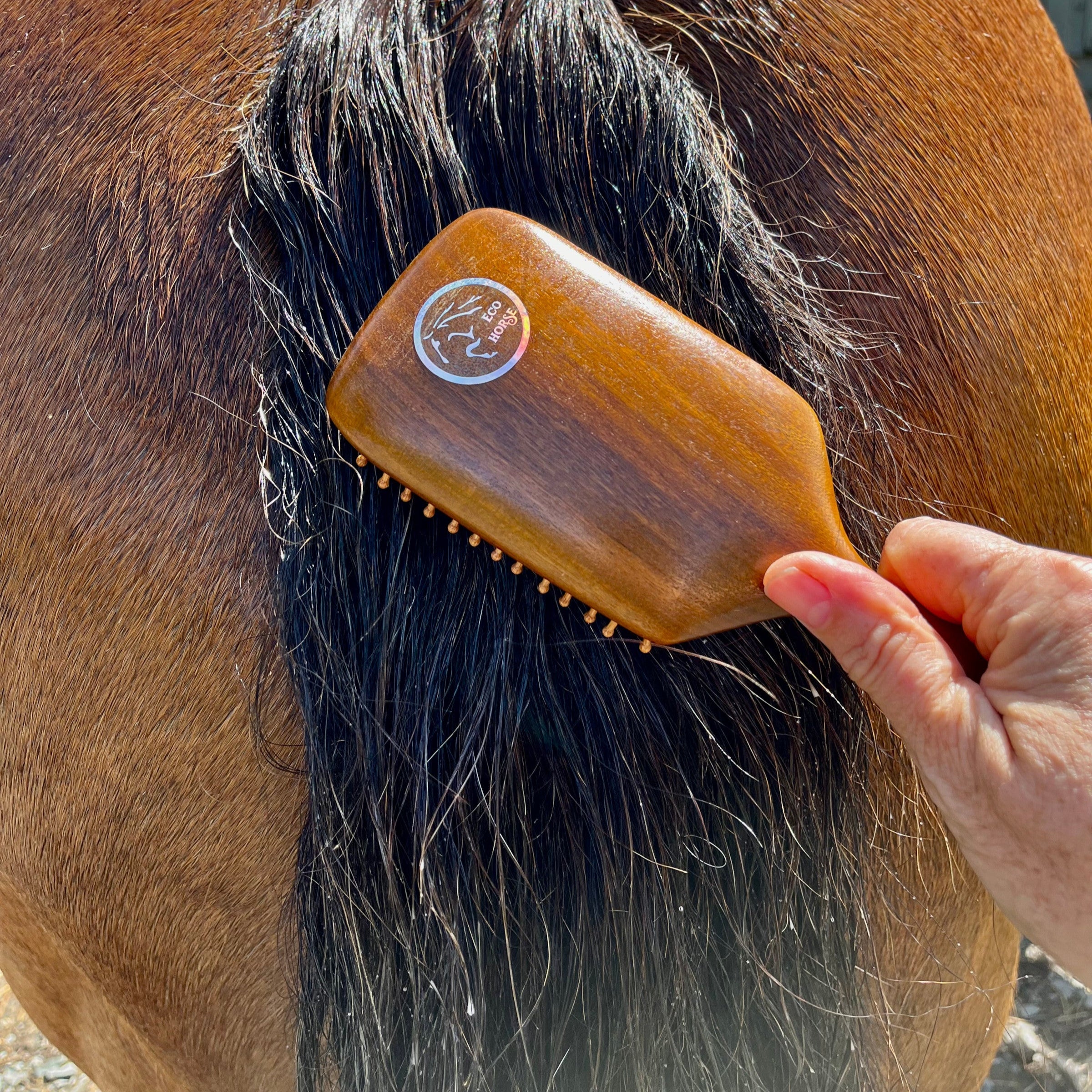 CLEARANCE Workhorse Brush