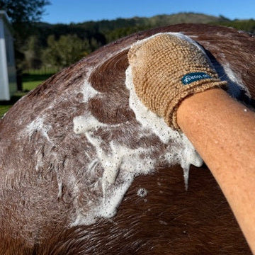 REFILL POUCH Linseed Shine Shampoo