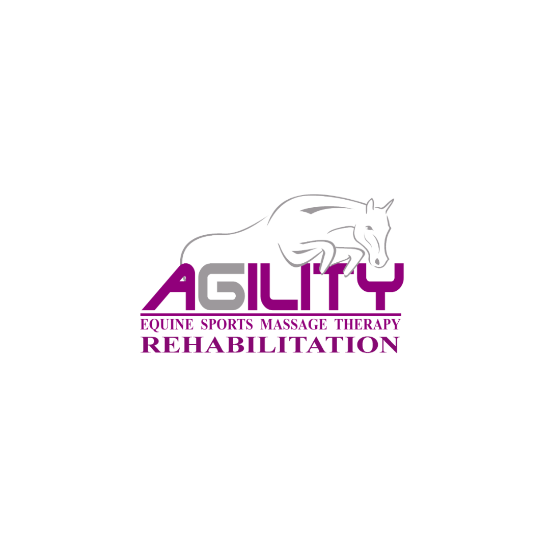 Agility Equine Sports Massage Therapy Rehabilitation