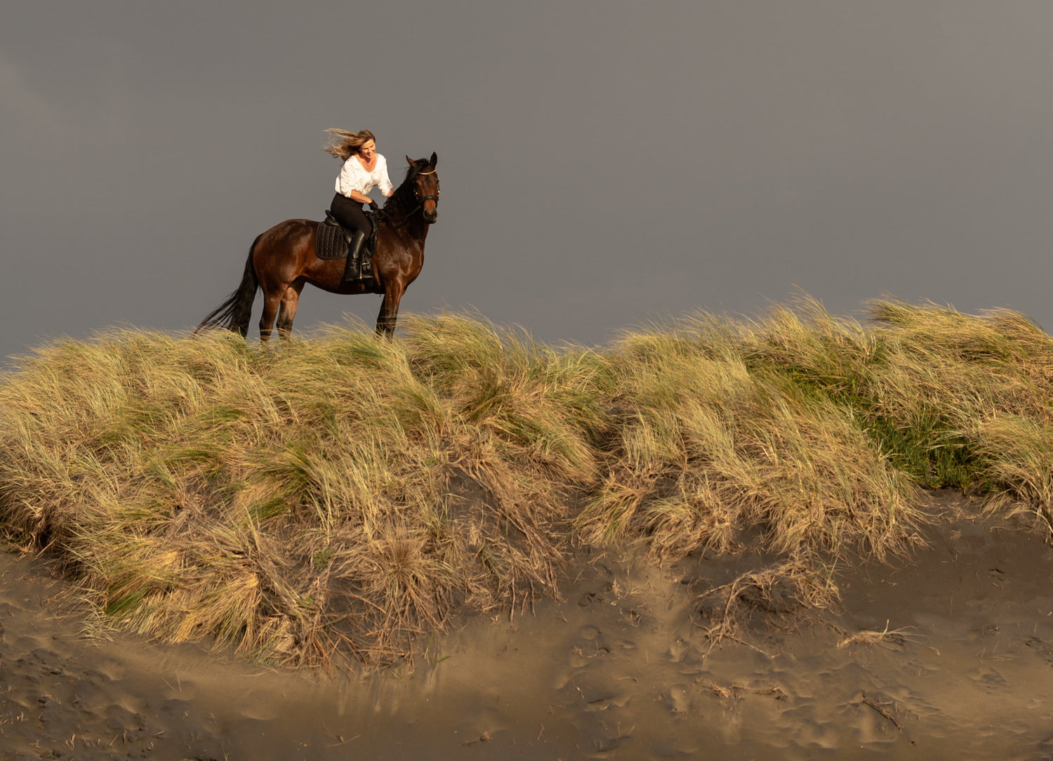 Tackling a thick, tangled friesian tail!