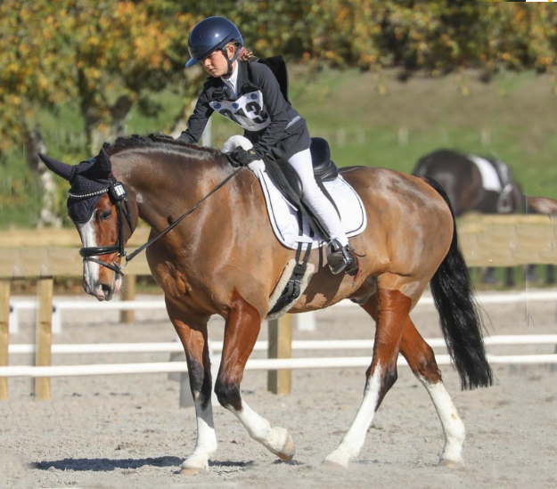 A commitment to natural horse grooming products