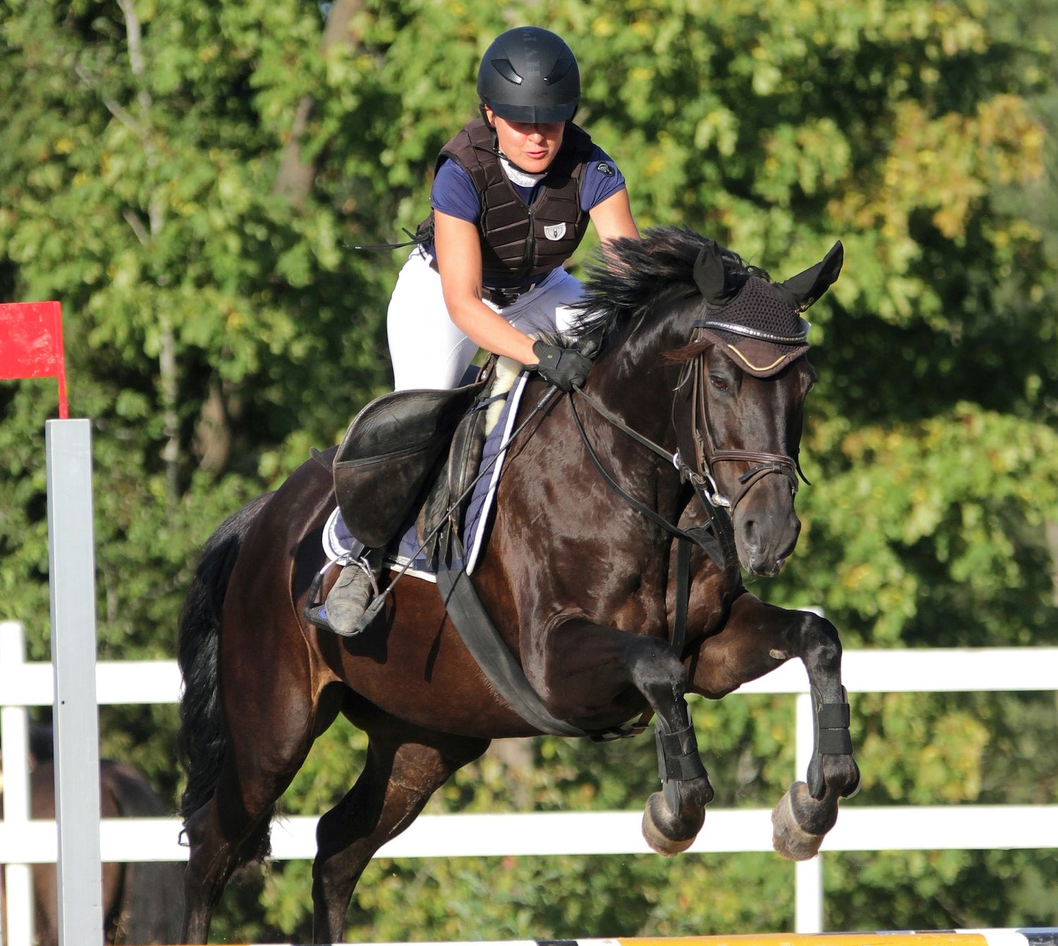 Show Jumping Practice Days with Eco Horse