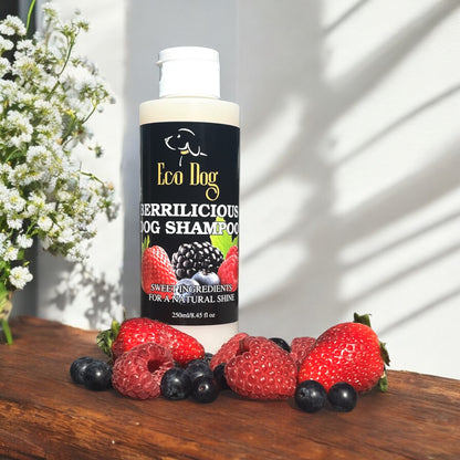 Eco Dog Berrilicious Sham-Pooch