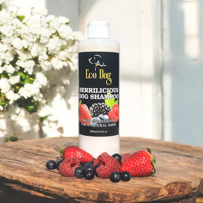 Eco Dog Berrilicious Sham-Pooch