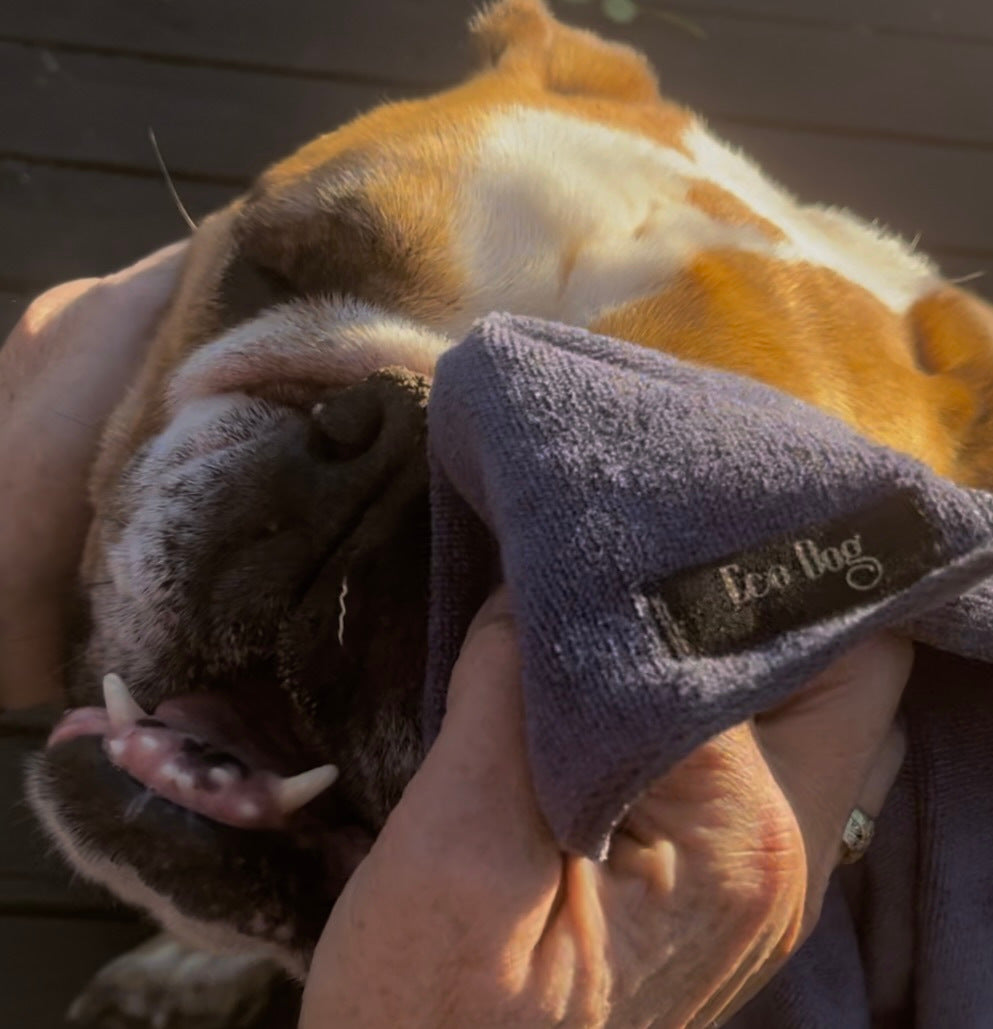 Boop Dig Eco Dog Boop Cloth – Eco Horse