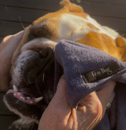 Eco Dog Boop Cloth