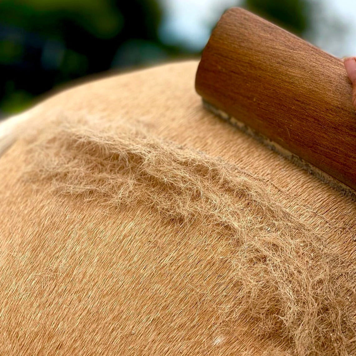 CLEARANCE Eco Shedder