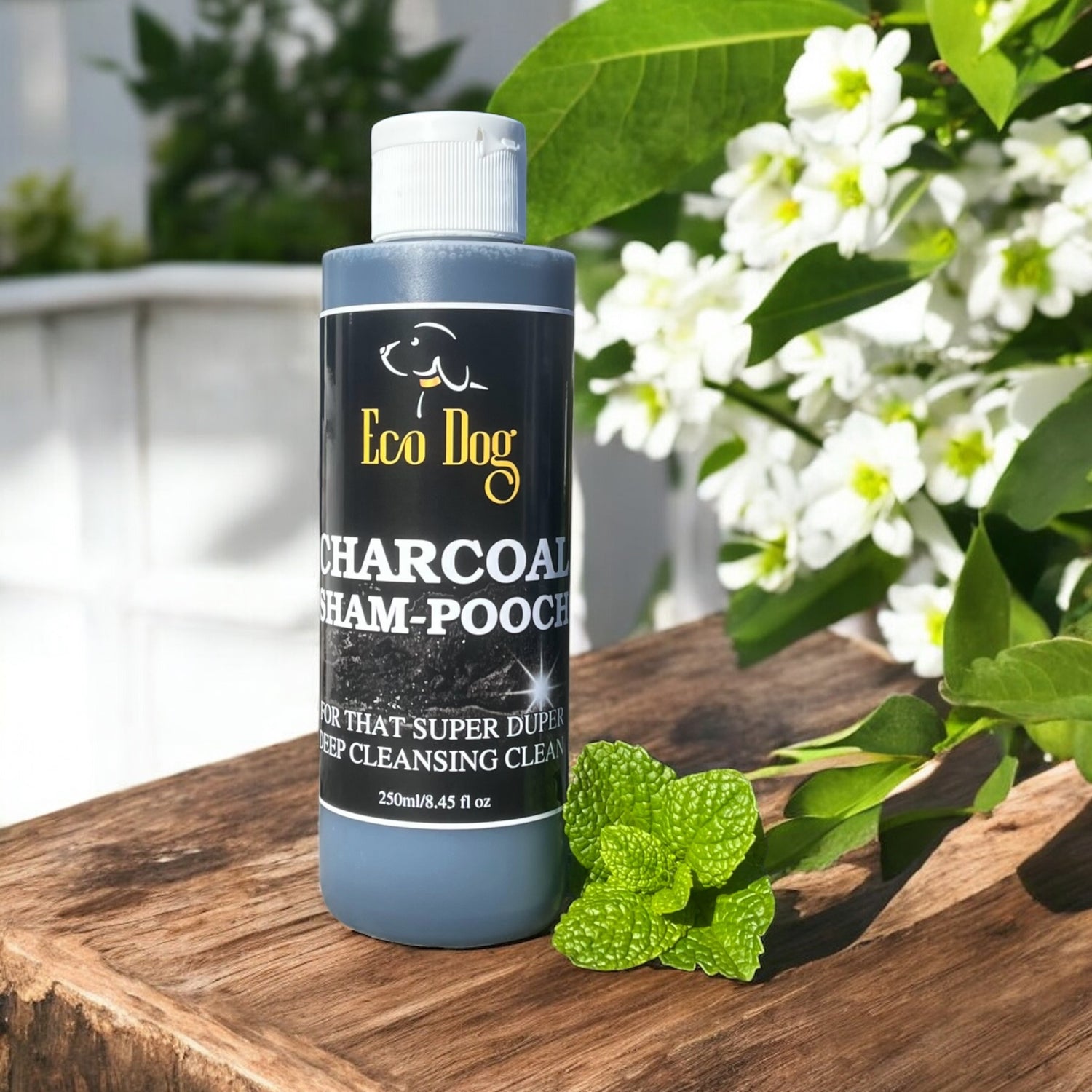 Eco Dog Charcoal Sham-Pooch