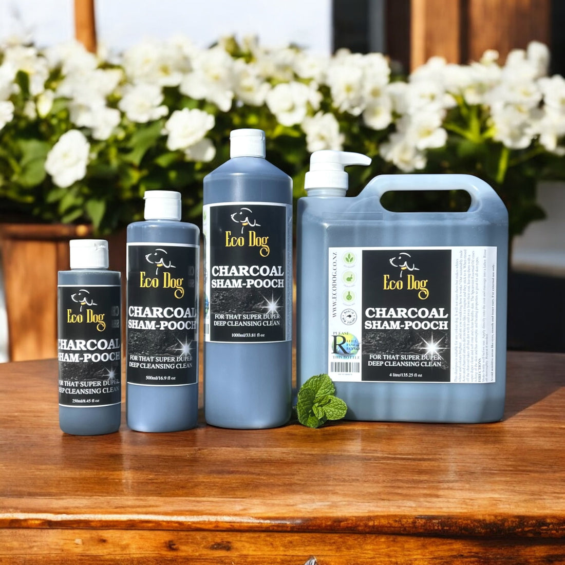 Eco Dog Charcoal Sham-Pooch