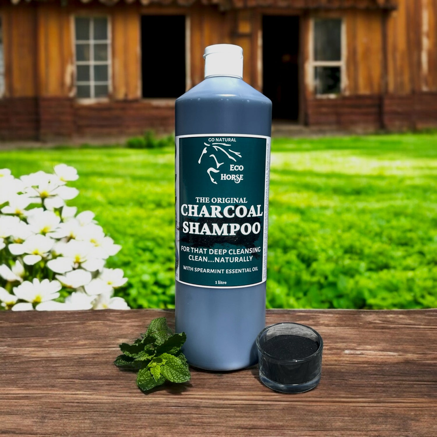 Charcoal Shampoo