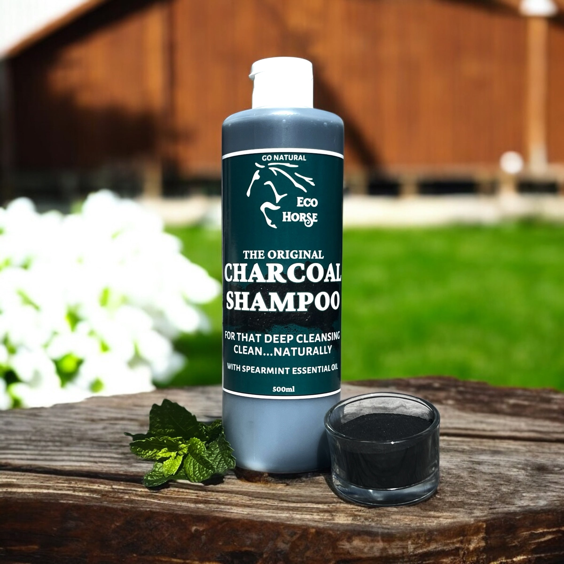Charcoal Shampoo