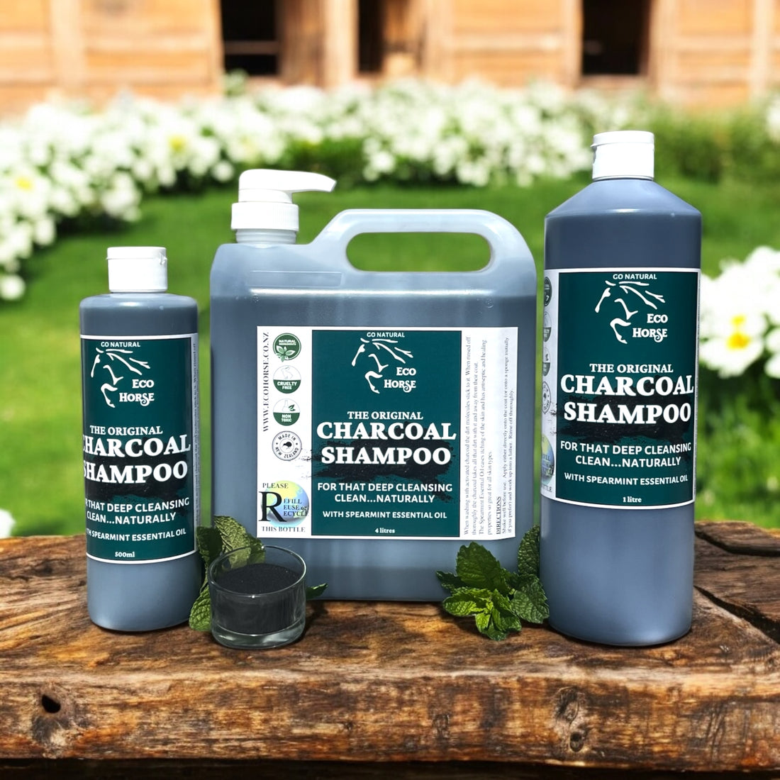 Charcoal Shampoo