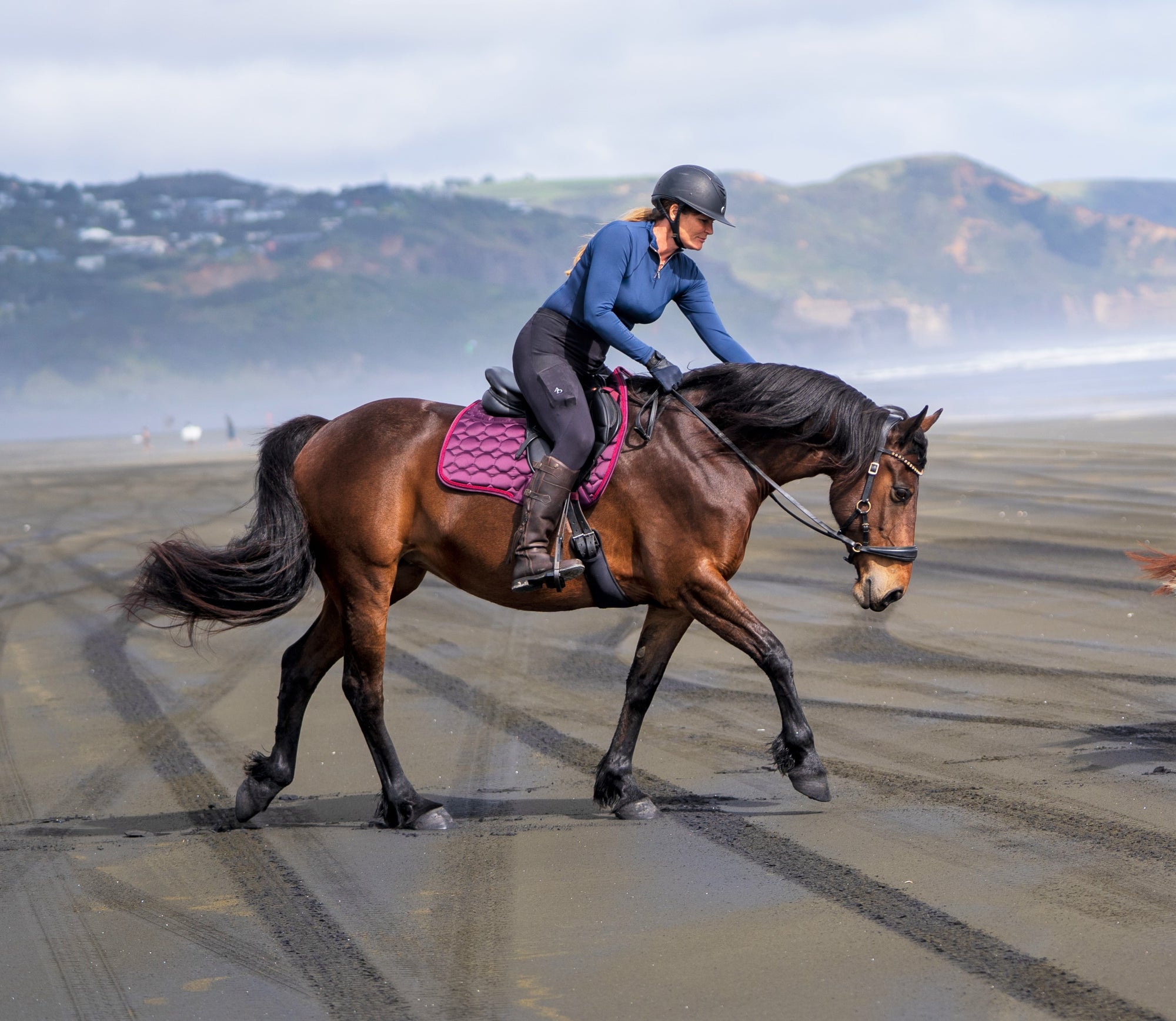 Eco Horse Shine Gallery