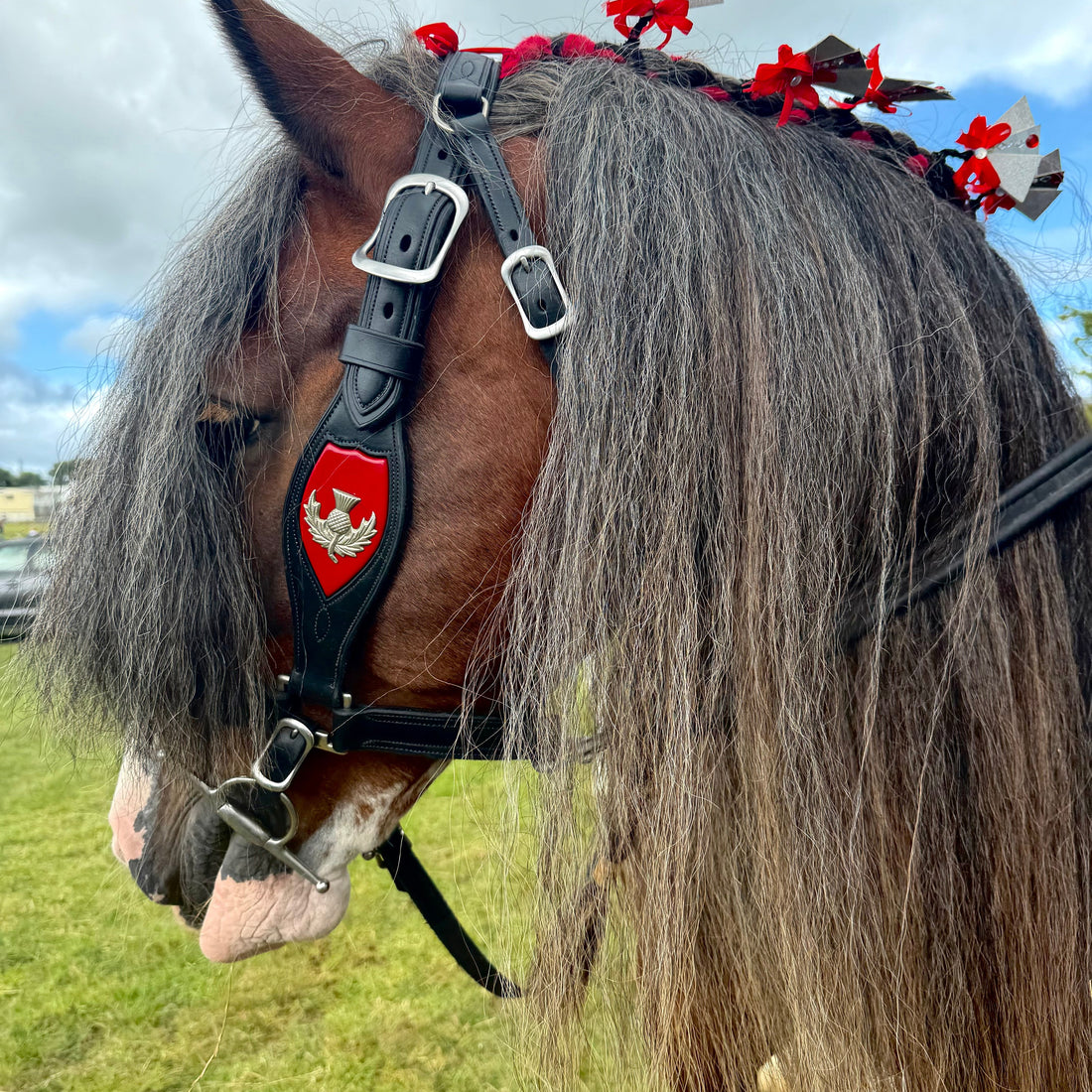 Detangle &amp; Shine Spray