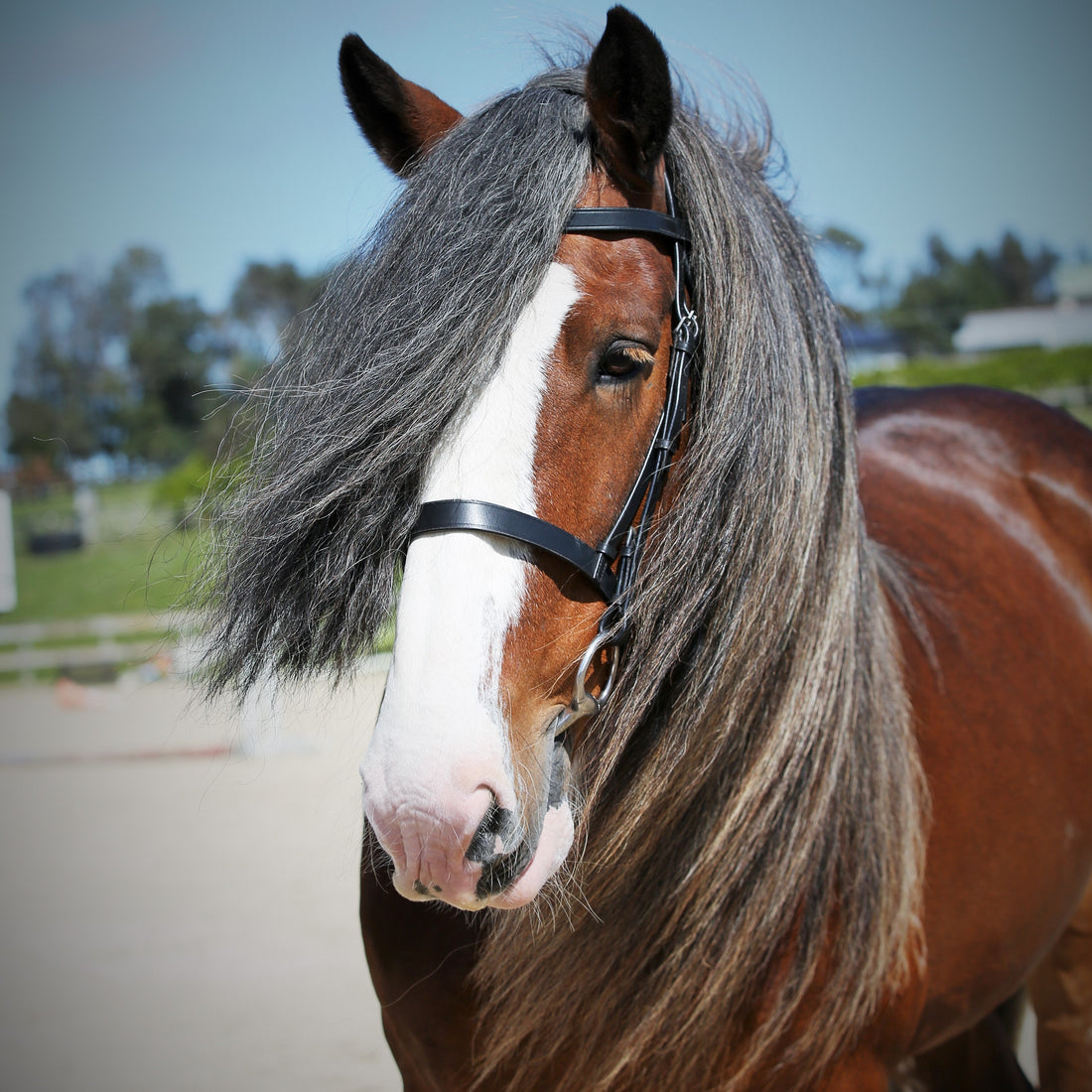 REFILL POUCH Detangle &amp; Shine