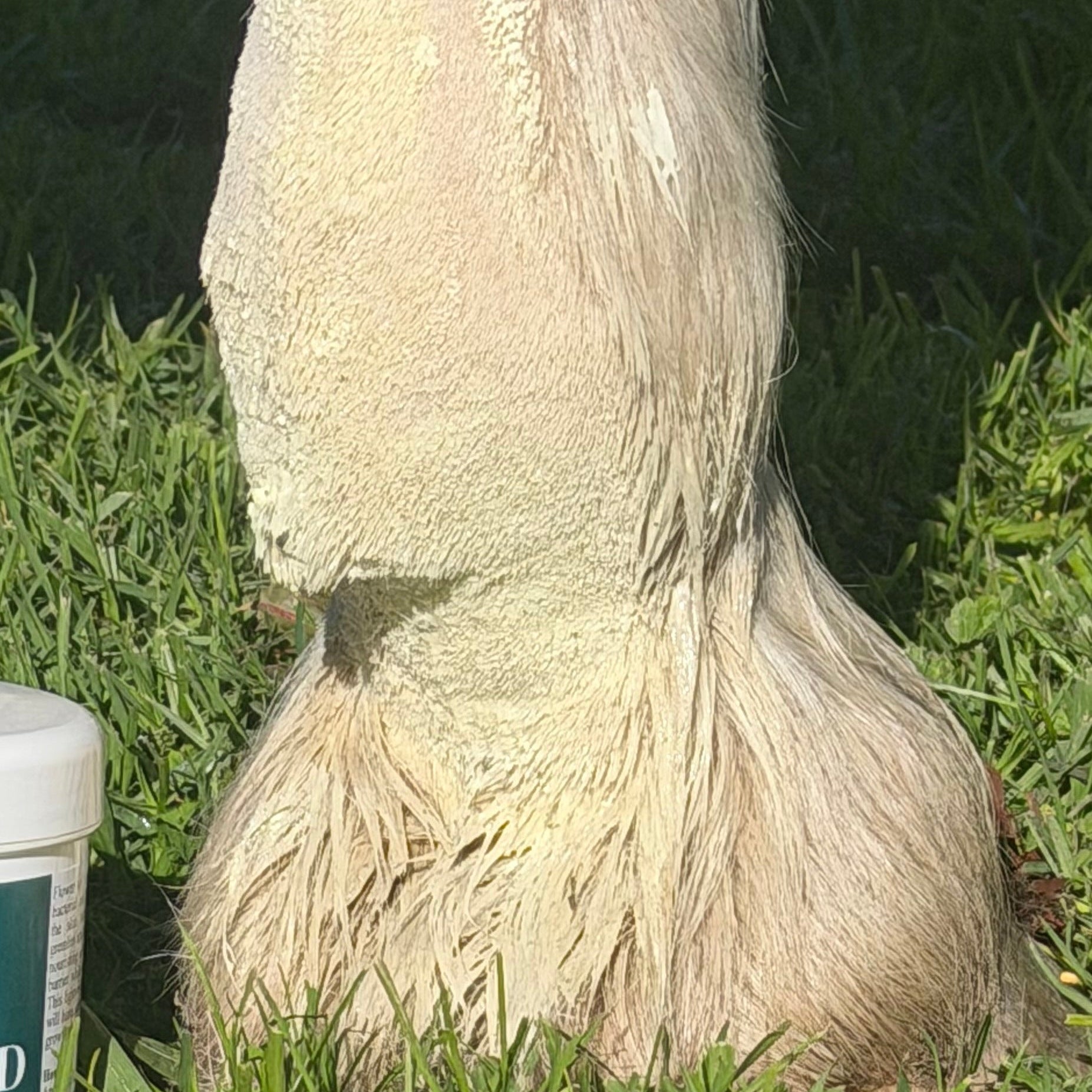 Mud Monster Lotion