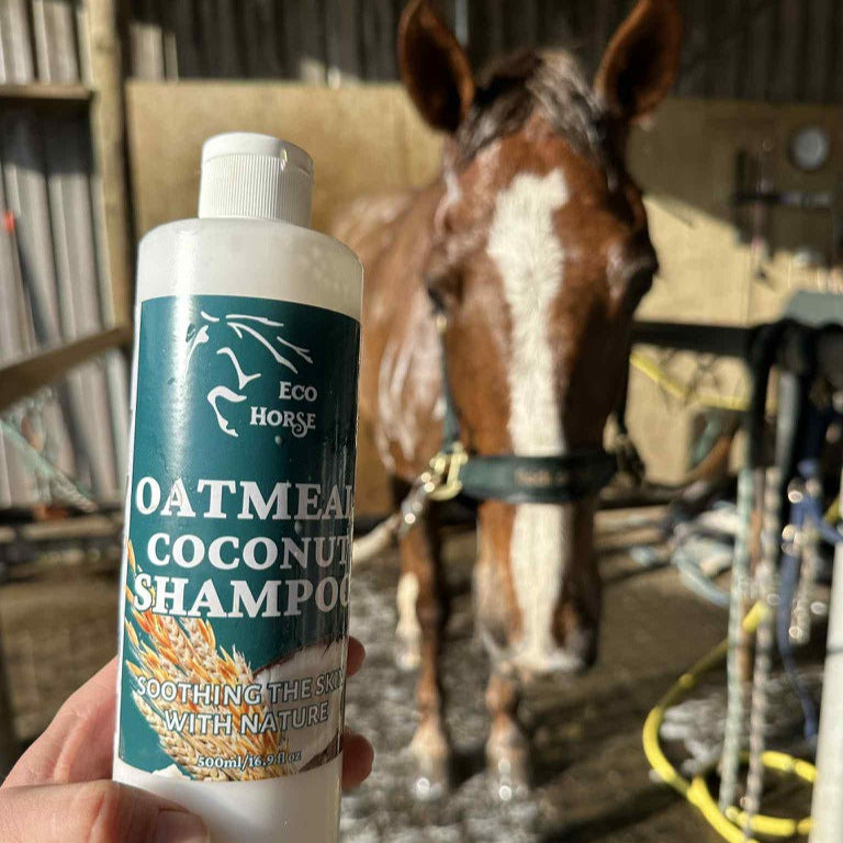 Oatmeal Coconut Shampoo