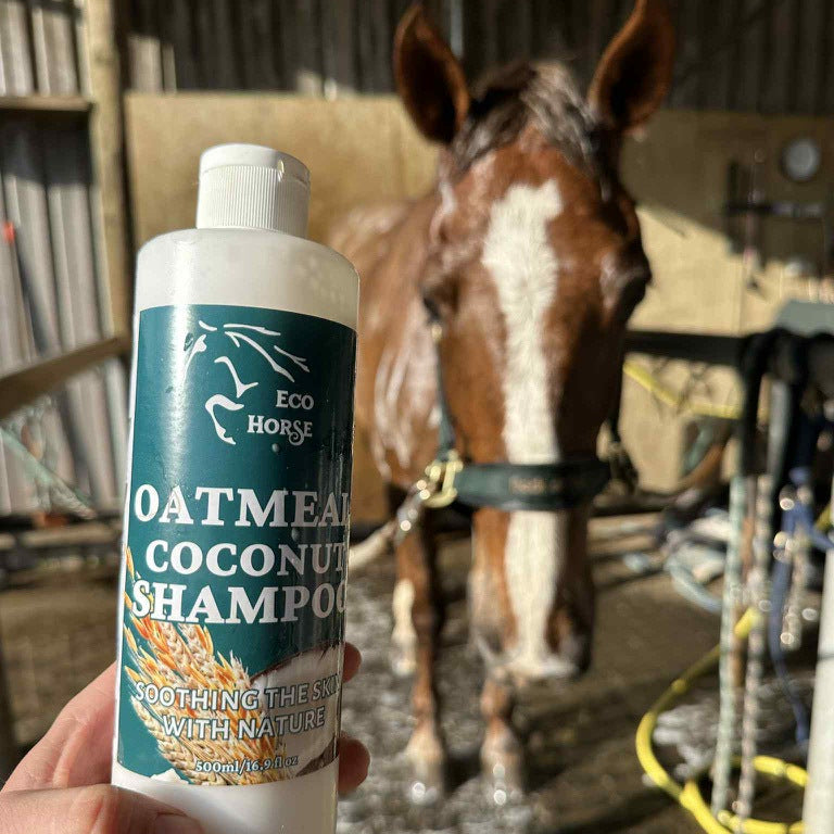 REFILL POUCH Oatmeal Coconut Shampoo