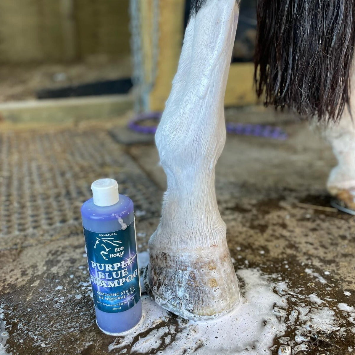 REFILL POUCH Purple Blue Shampoo