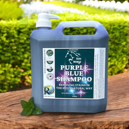 Purple Blue Shampoo