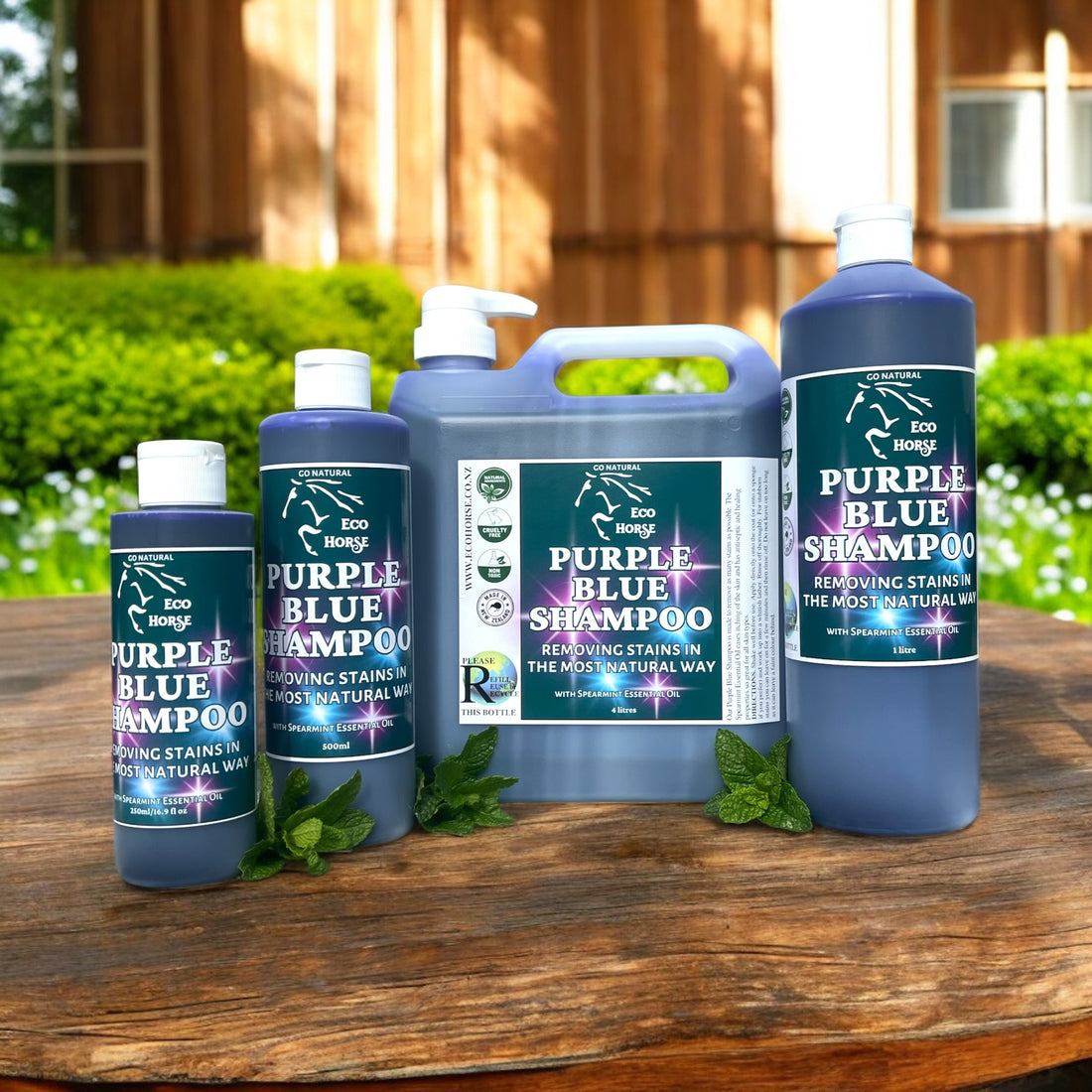 Purple Blue Shampoo