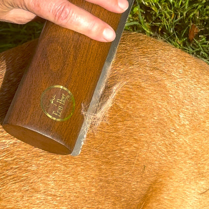 Eco Dog Shedder Extreme