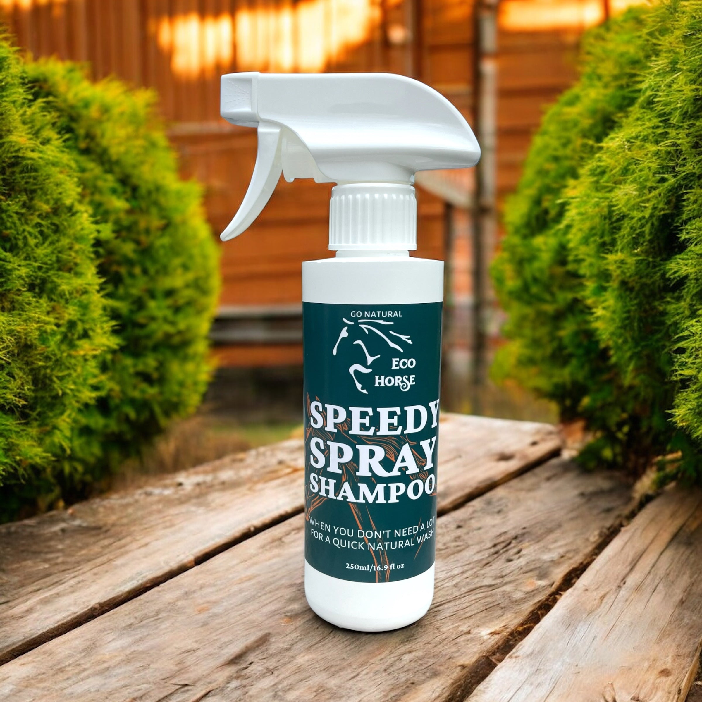 Speedy Spray Shampoo