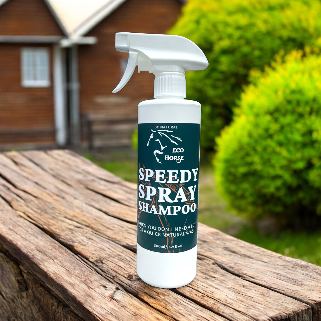 Speedy Spray Shampoo