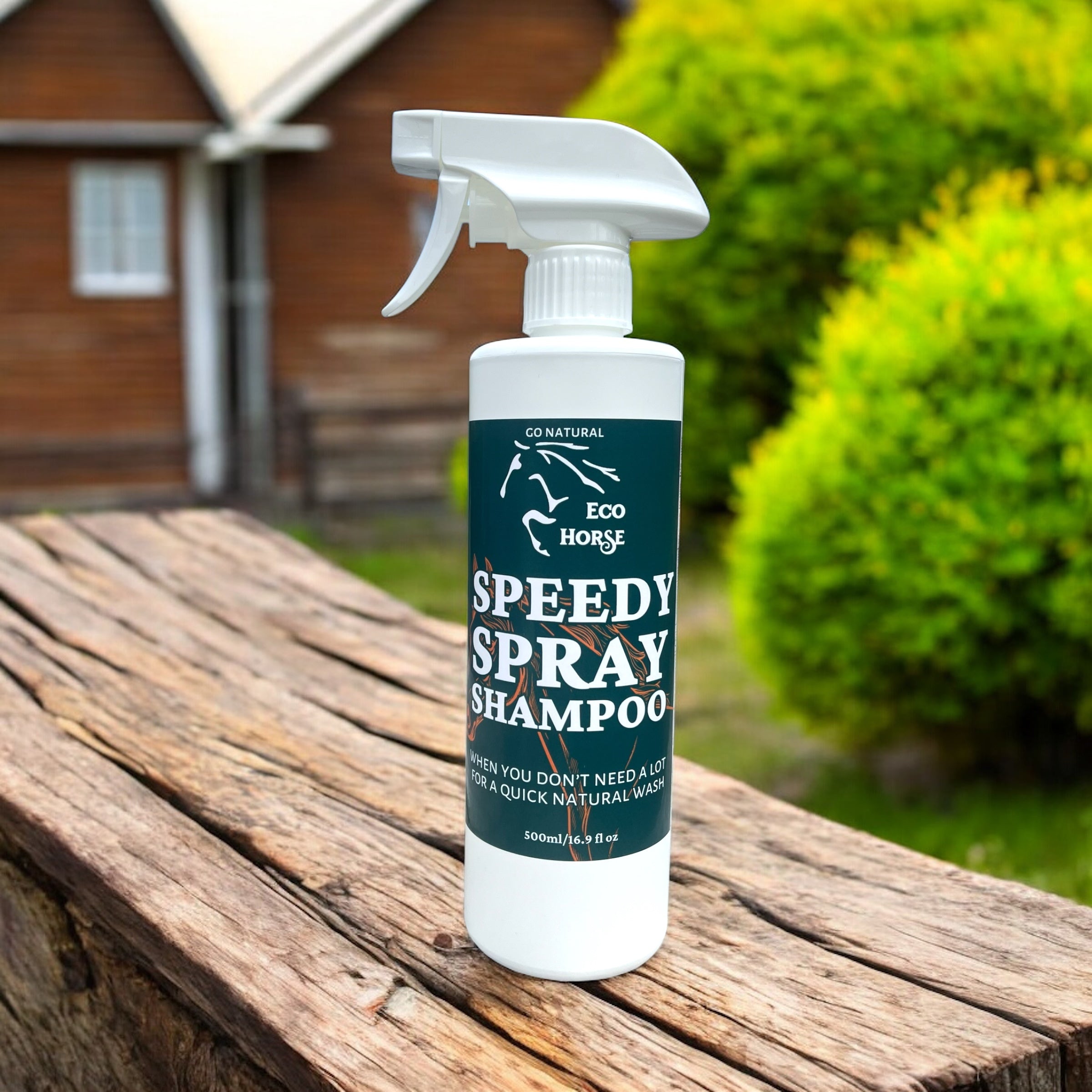 Speedy Spray Shampoo