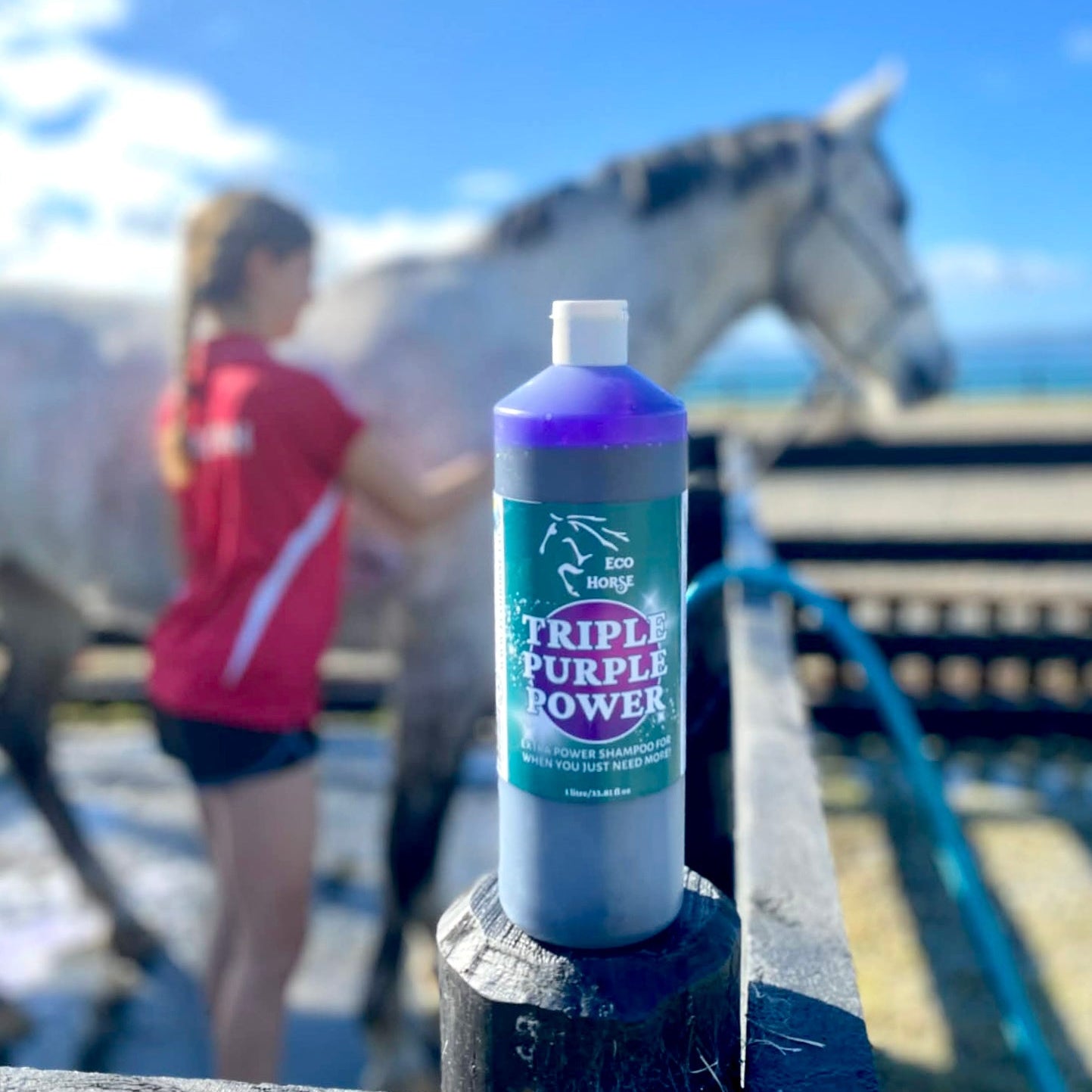 Triple Purple Power Shampoo