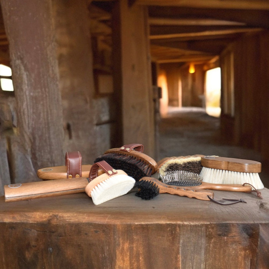 Eco Horse Brush Kit