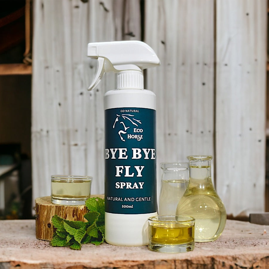 Bye Bye Fly
