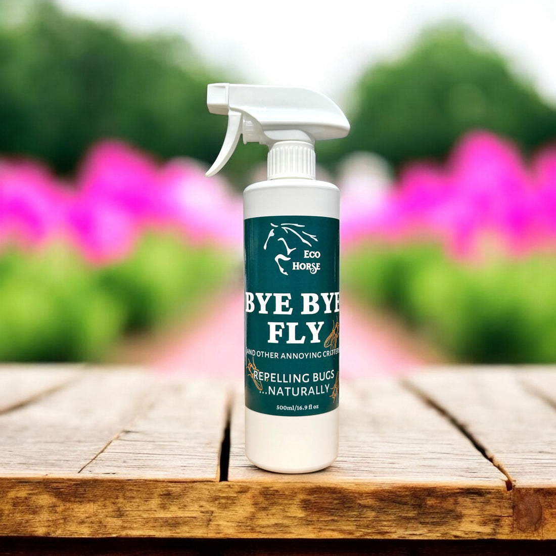 Bye Bye Fly