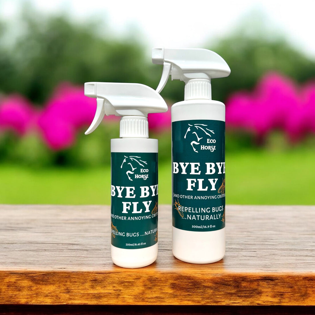 Bye Bye Fly