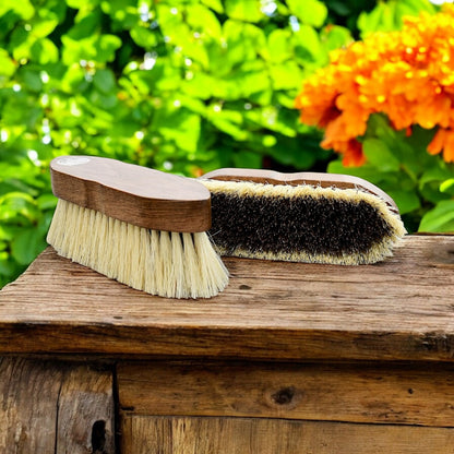 Eco Horse Brush Kit