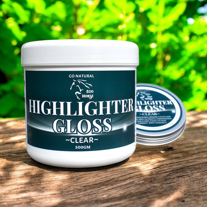 Highlighter Gloss