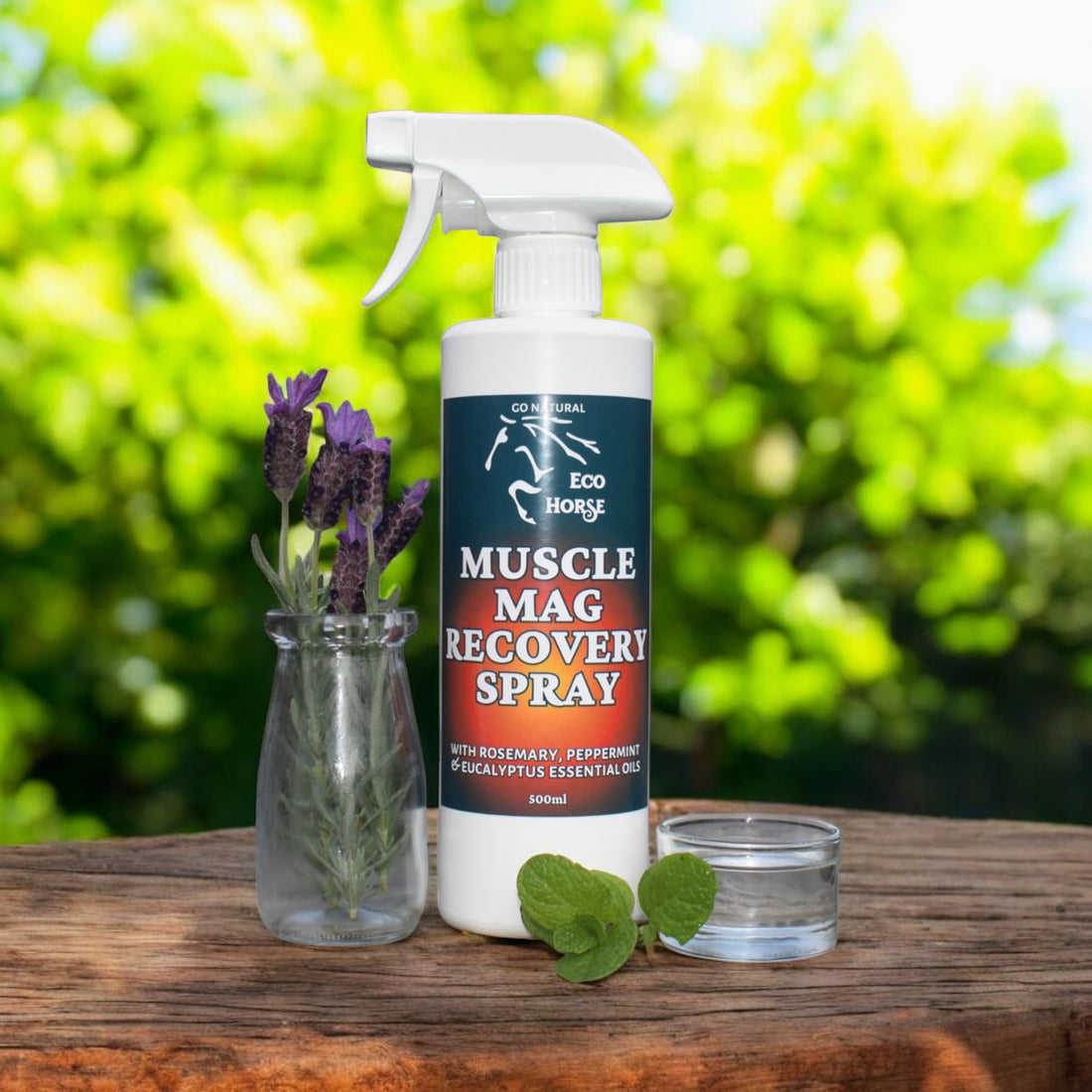 Muscle Mag Recovery Spray
