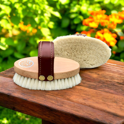 Eco Horse Brush Kit