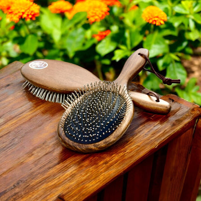 Eco Horse Brush Kit