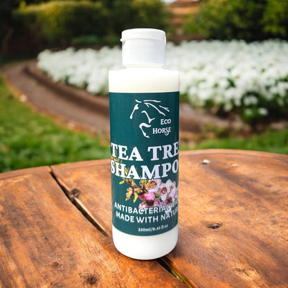 Tea Tree Shampoo