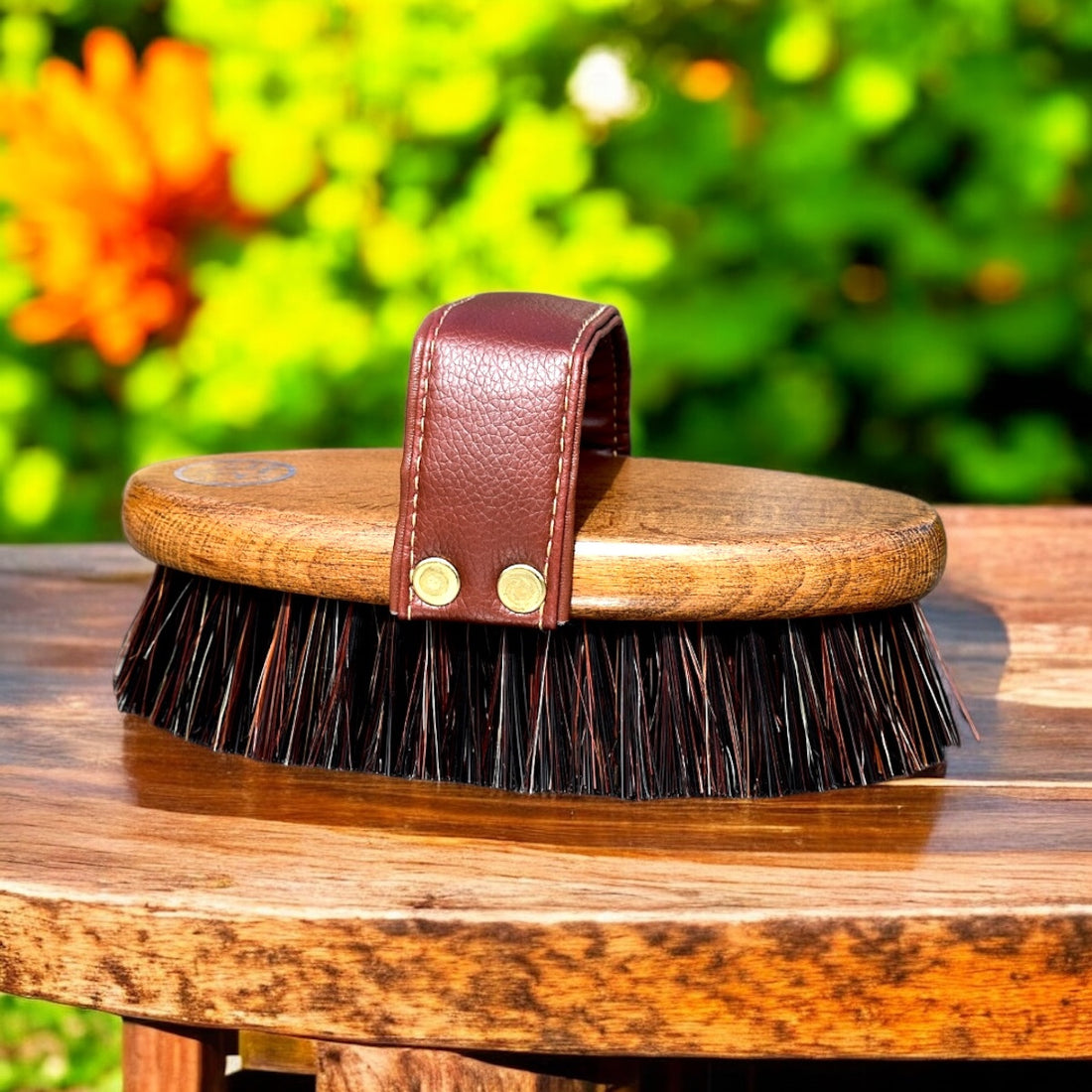 Eco Horse Brush Kit
