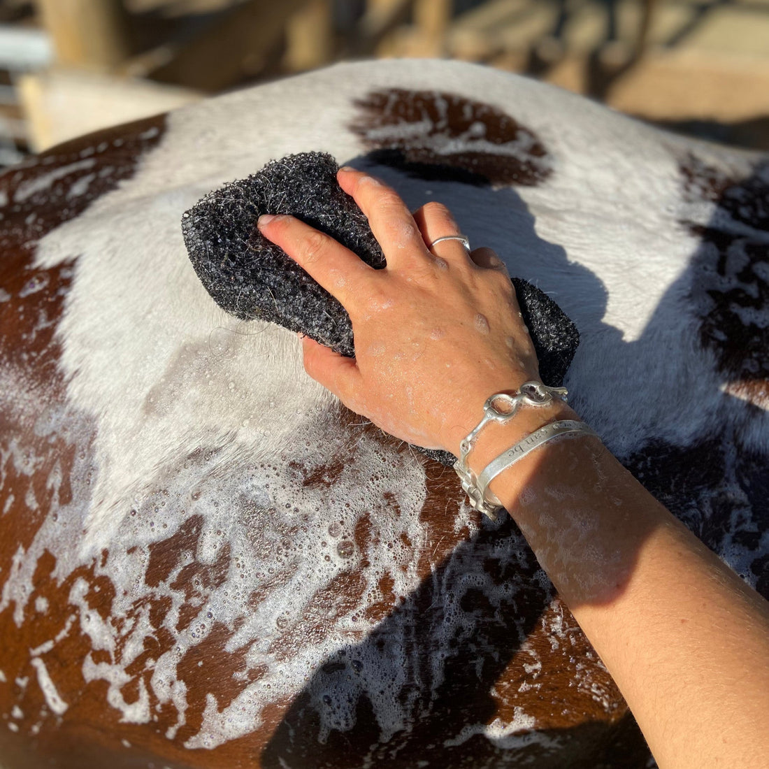Wet N Dry Sponge