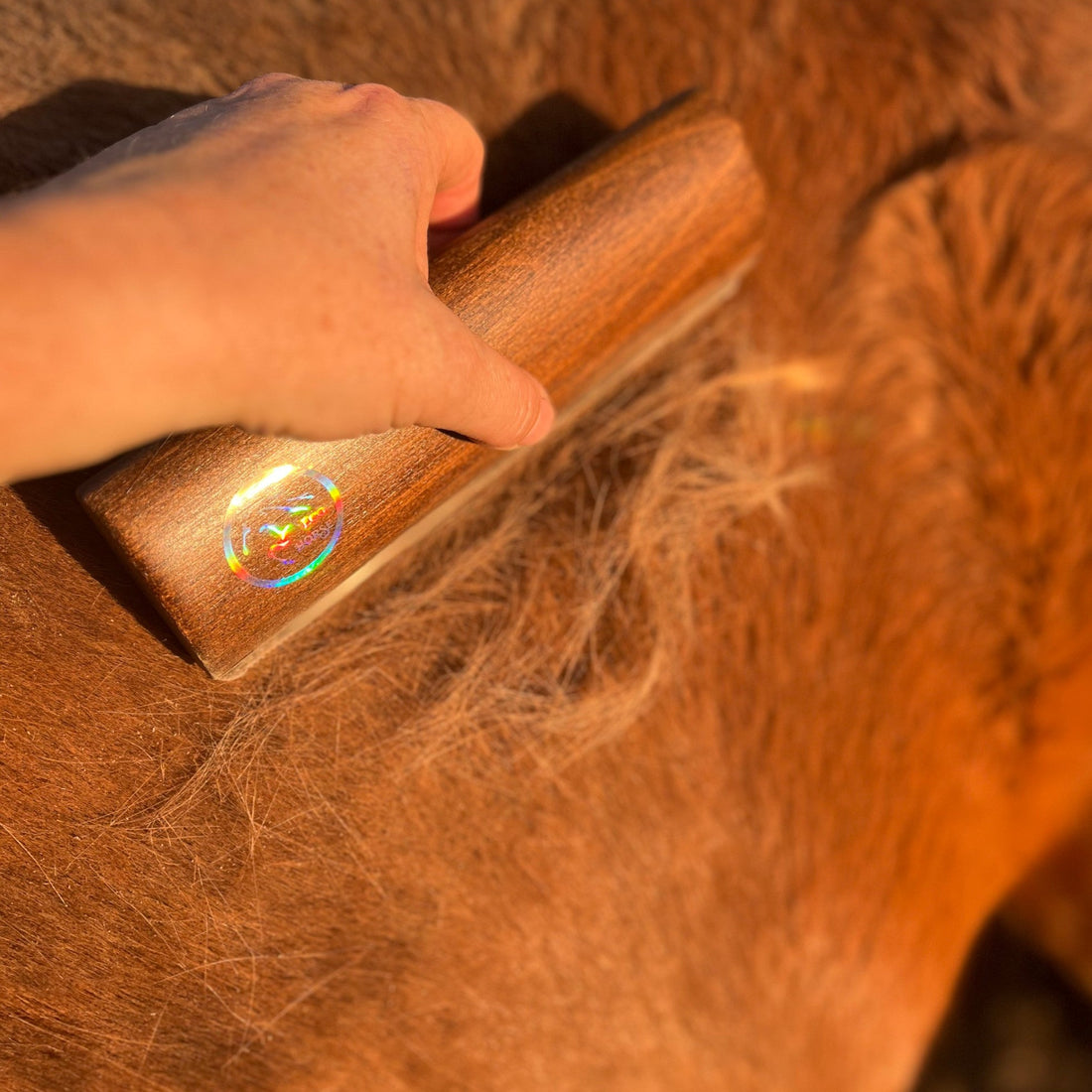 CLEARANCE Eco Shedder