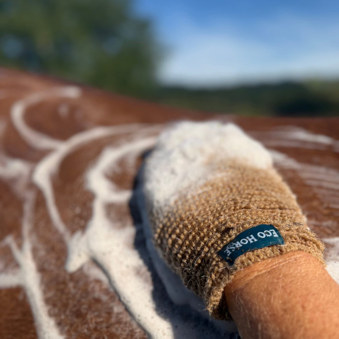 Frisky French Pear Shampoo